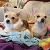 Shaz230711 - @sharronlogan637 - TikTok