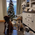Sharon Lowry - @sharon.lowry.9 - Instagram