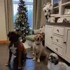 Sharon Lowry - @sharon.lowry8 - TikTok
