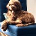 Sharon Lyons - Facebook