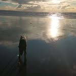 Sharon Lyons - @sharon.lyons.12979 - Instagram