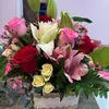 Sharon Lyons - @sharon.lyons94 - TikTok