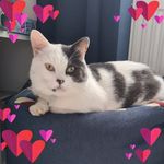 Sharon Mann - @sharronmann - Instagram