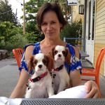Dr. Sharon Meyer - @drsharonmeyer - Instagram