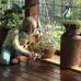 Sharon Mills Wurst - Facebook