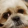 Sharon Hallett Morrow - @sharon.hallett.mo - TikTok