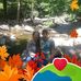Sharon Morrow - Facebook