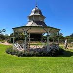 Sharron O'Connor - @oconnor1951 - Instagram