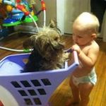 Sharron Perry - @shash1948 - Instagram