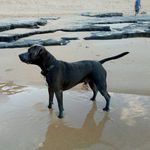 Sharron Powell - @sharron.powell.5 - Instagram