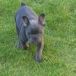 Sharron Powell - @sharron.powell.9 - Instagram