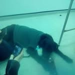 Sharon Reid - @sharonreid1545 - Instagram