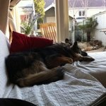 Sharron Scott - @kulabean - Instagram