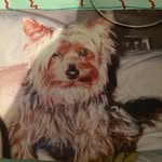 Sharron Smith - @sharronsmith262 - Instagram