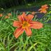 Sharon Turner - Facebook