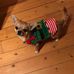 Sharon Turner - Facebook