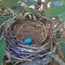 Sharron Turner - Facebook
