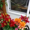 Sharon Kirschenman Tyler - @sharon.kirschenma - TikTok