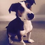 Sharon Watson - @sharon_watson_ - Instagram