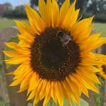 Sharron Little - @sharron.watson.75 - Instagram
