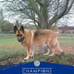 Sharron Watson - @sharonwatson395 - Instagram