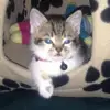 sharronsharwatson - @sharronsharwatson - TikTok