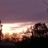 Sharon Webb6470 - @sharonwebb493 - TikTok