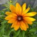 Sharron West - Facebook