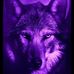Sharron Wolf - Facebook