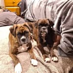 Sharon Bennett - Facebook