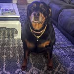 Sharon Dixon - @zijatime - Instagram