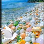 Sharon Dixon - Facebook