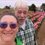 Sharon Dixon - Facebook