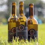 Sharon James Cellars Winery & Restaurant - @sj.cellars - Instagram