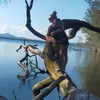 Sharyn Lee - @sharyn.lee2 - TikTok