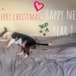 Sharon Parker - @sharon_parker_ - Instagram