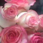 Sharyn Roberts - @sharyn8885 - Instagram