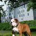 Sharyn Robertson - Facebook