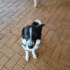 Sharyn Simmons - @sharyn.simmons - TikTok