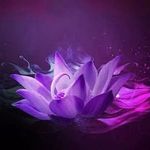 Sharyn Simmons - @sharyn.simmons.10 - Instagram