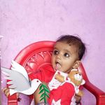 Shashi Suri - @shashi.suri.144 - Instagram