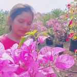 shashi surin - @shashi.surin - Instagram