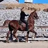 shastaperkins1 - @shastaperkins1 - TikTok