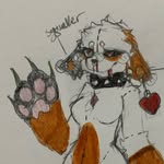 Shasta Williams - @smudgykitty9197 - Instagram