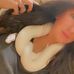 Shasta Williams - Facebook