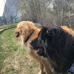 Shasta and Wilson - @shastaandwilson - Instagram