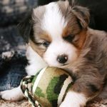 Shasta Hope Wilson - @shastahope13 - Instagram