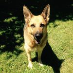 Shasta - @shasta_wright - Instagram