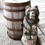 Shasta - @shastawright86 - Instagram