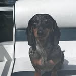 Shaun Adkins - @shaunadkins59 - Instagram